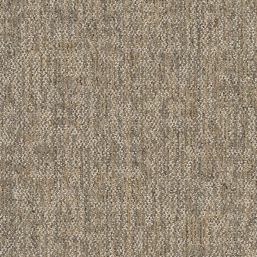 shaw-54841-00200-sample-4585993