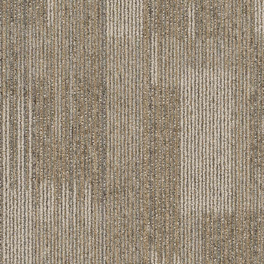 shaw-54842-00200-sample-4585993