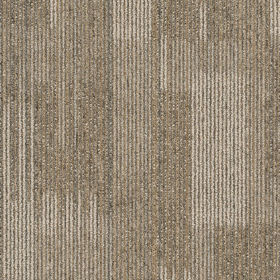 shaw-54842-00200-sample-4585993 shaw-54842-00200-sample-4585993