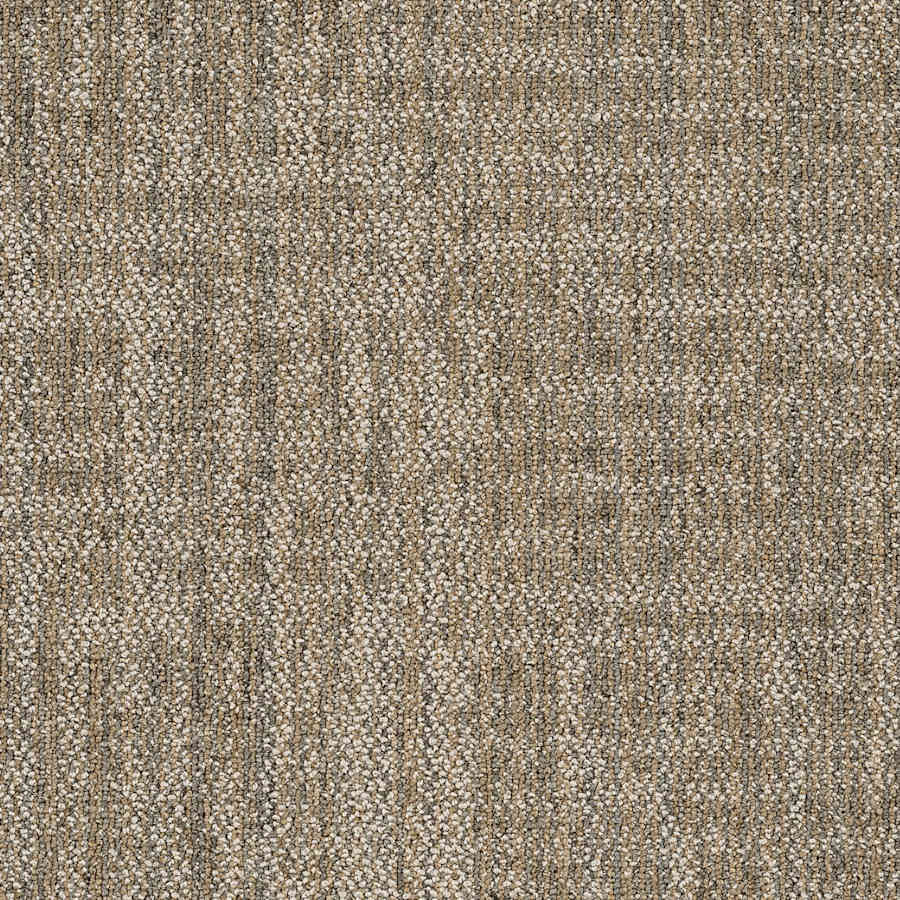 shaw-54843-00200-sample-4585993