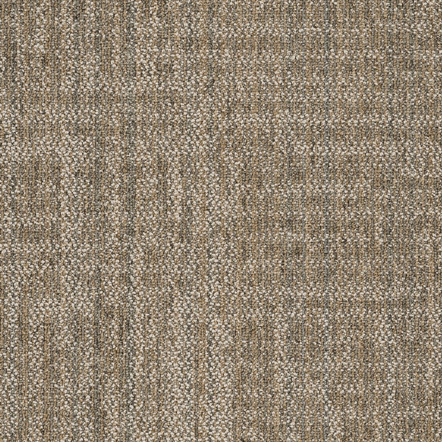 shaw-54843-00200-sample-4585993 shaw-54843-00200-sample-4585993