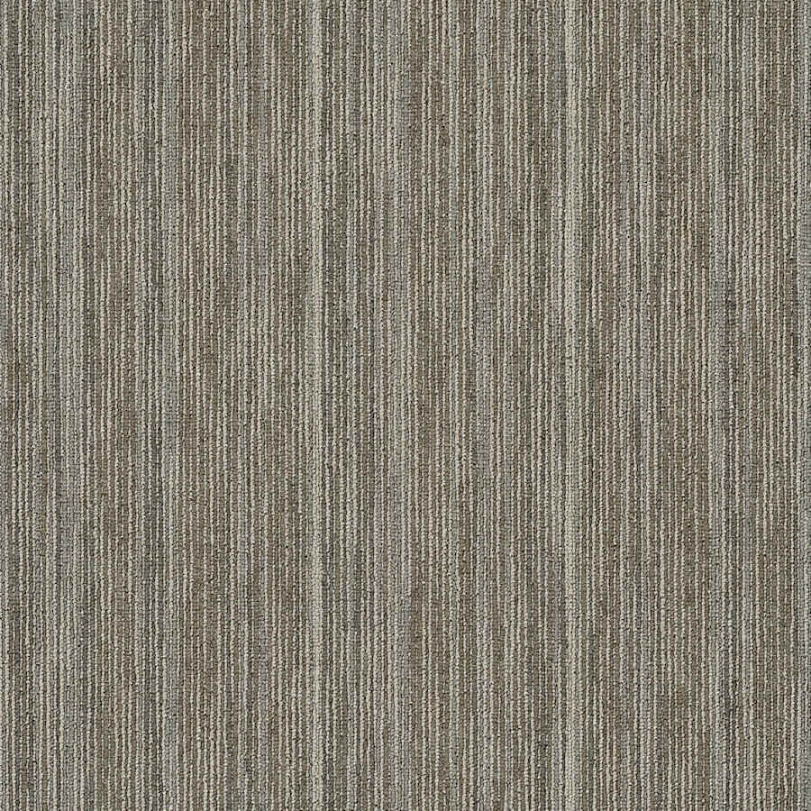 shaw-54845-45100-sample-4585993