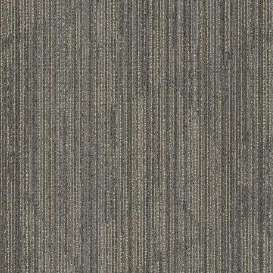 shaw-54903-00510-4585993