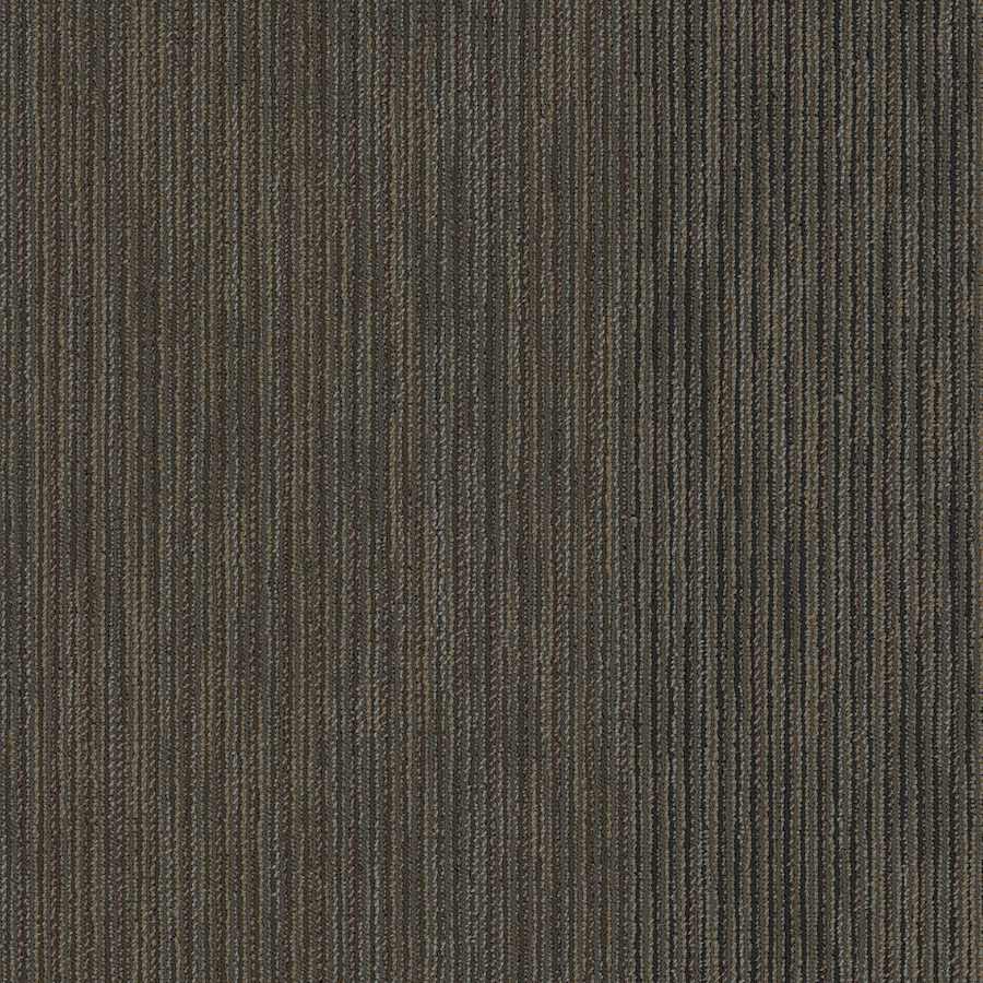 shaw-54906-00710-4585993