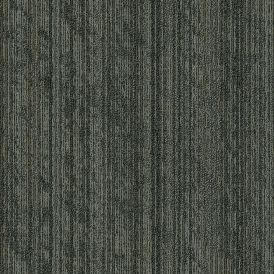 shaw-54919-00510-sample-4585993 shaw-54919-00510-sample-4585993