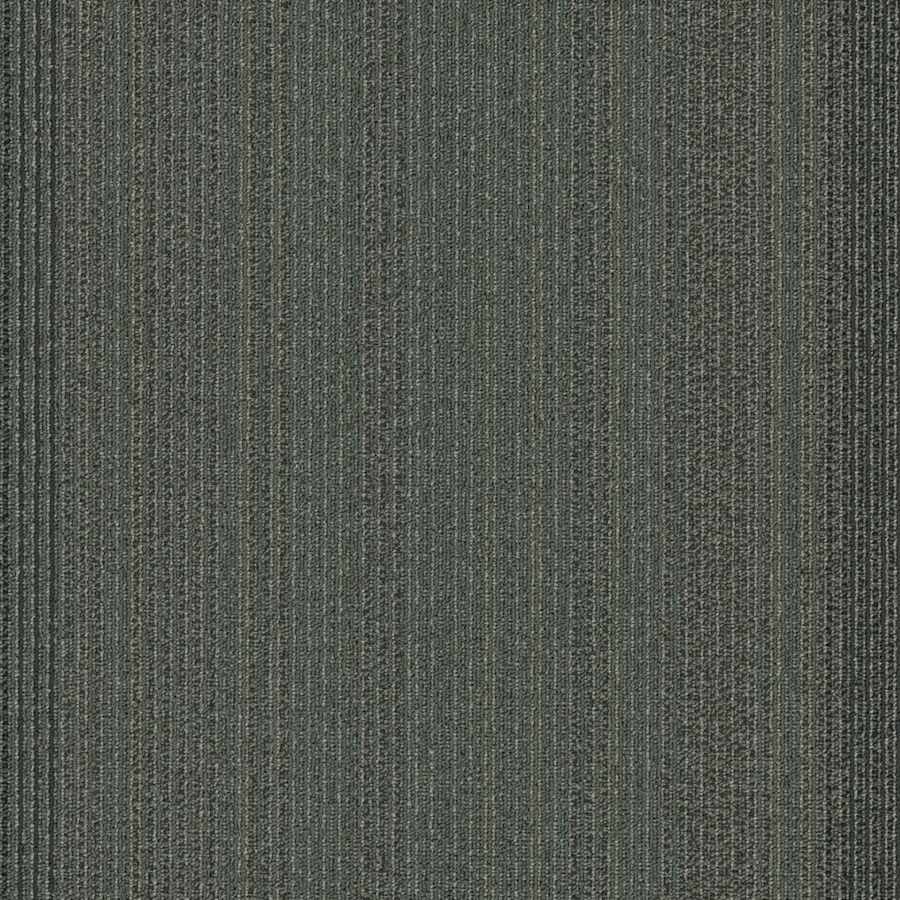 shaw-54924-24505-sample-4585993