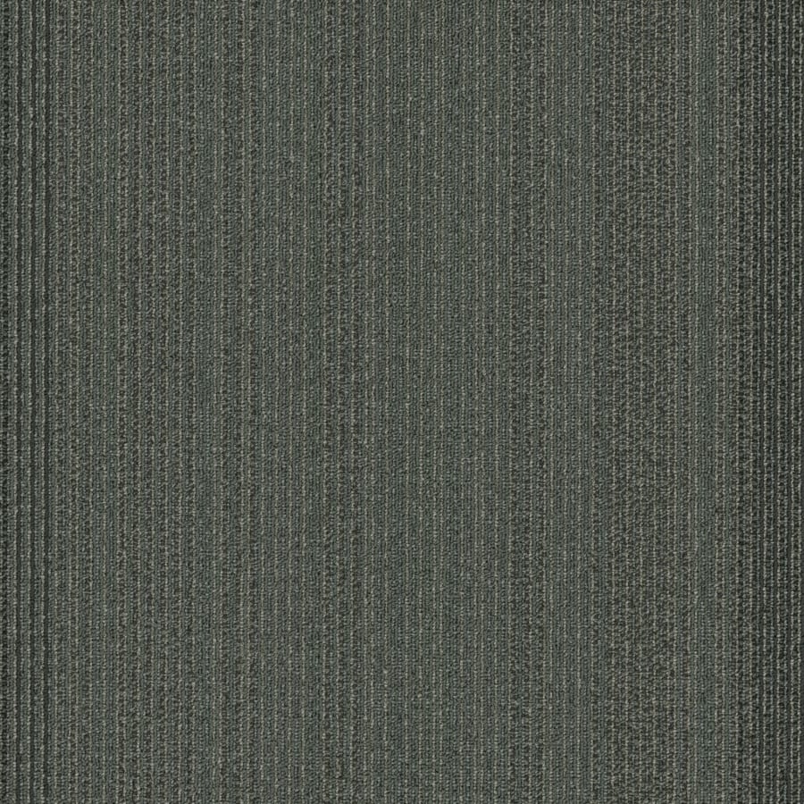 shaw-54924-24505-sample-4585993 shaw-54924-24505-sample-4585993