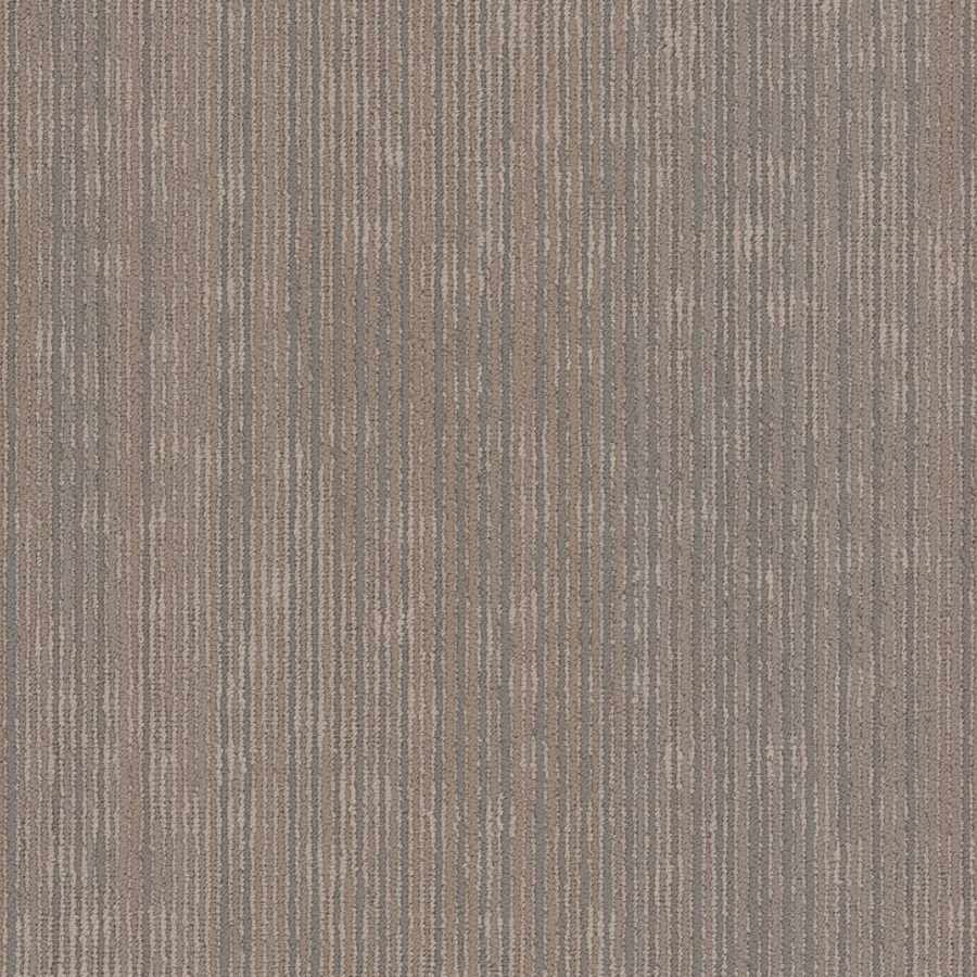 shaw-54925-00104-4585993