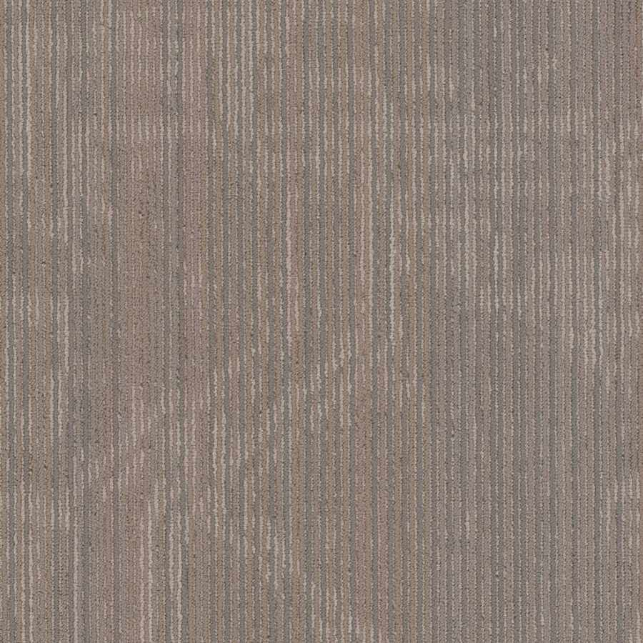 shaw-54927-00104-4585993