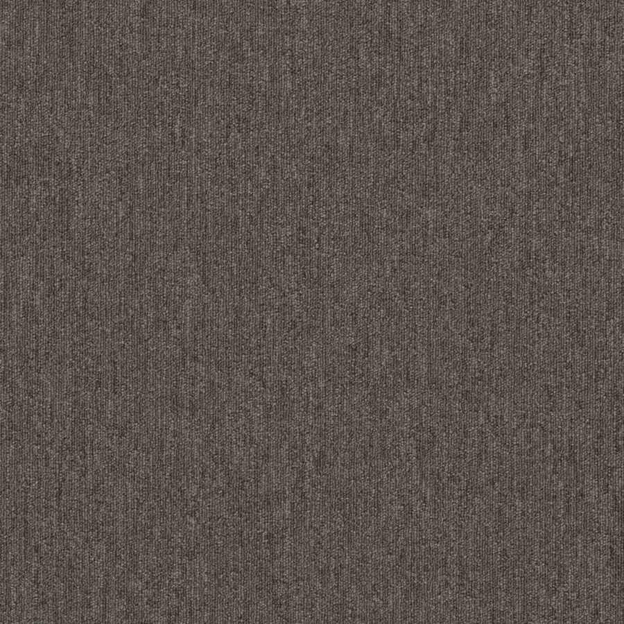 shaw-54936-00702-sample-4585993