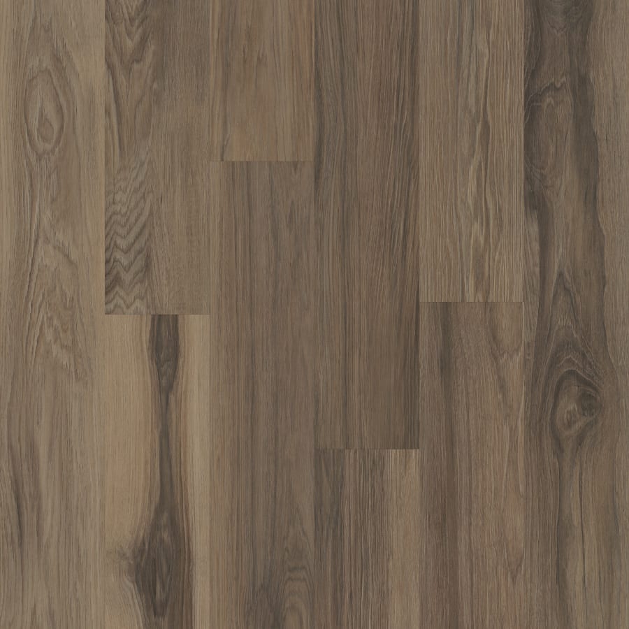 shaw-5m318-00708-sample-7862970 shaw-5m318-00708-sample-7862970