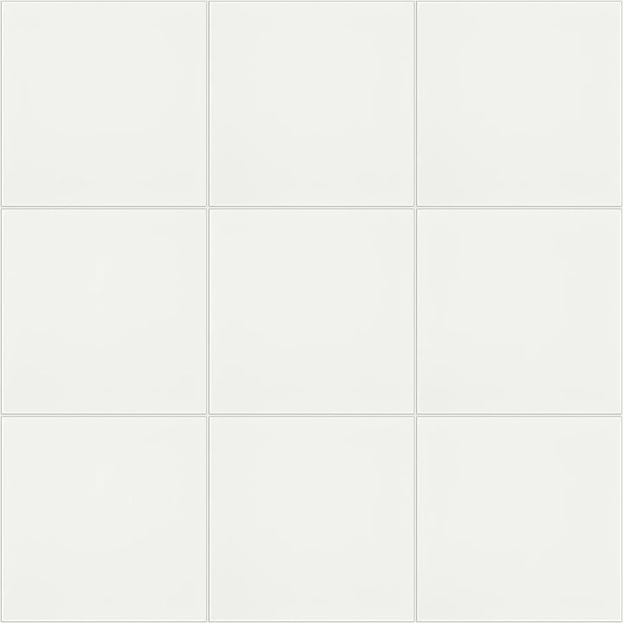 shaw-cs03v-00100-9459802