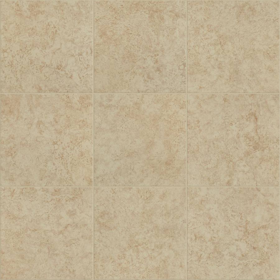 shaw-cs04j-00700-9459802