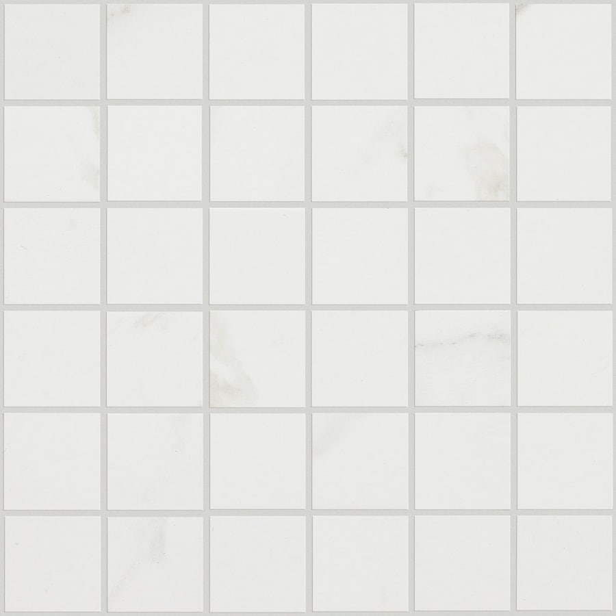 shaw-cs18m-00170-9459802