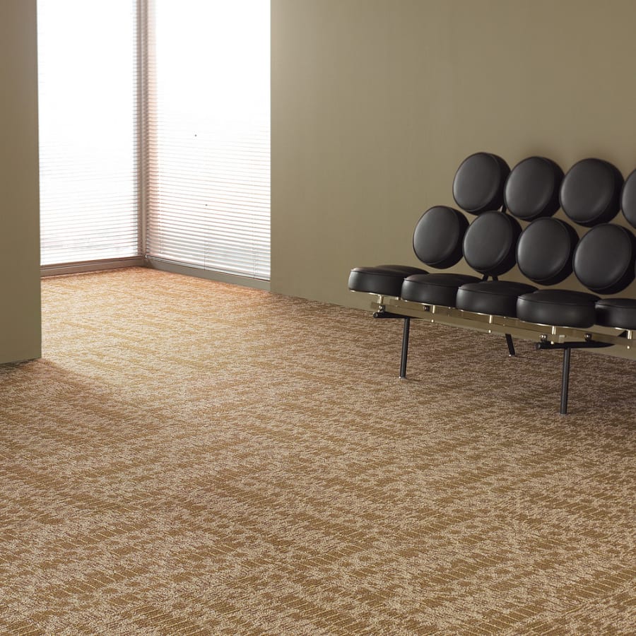 shaw-j0115-alternate-view-752 shaw-j0115-alternate-view-752
