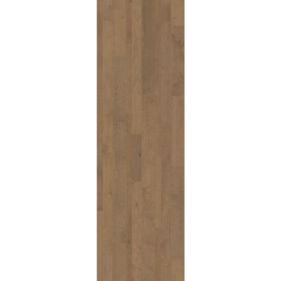 shaw-sw664-01023-1537745 shaw-sw664-01023-1537745