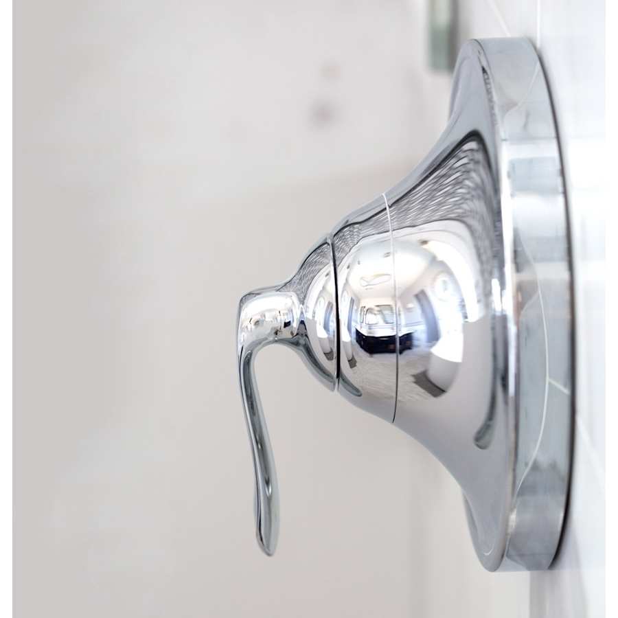 speakman-sm-7000-p-alternate-view-312