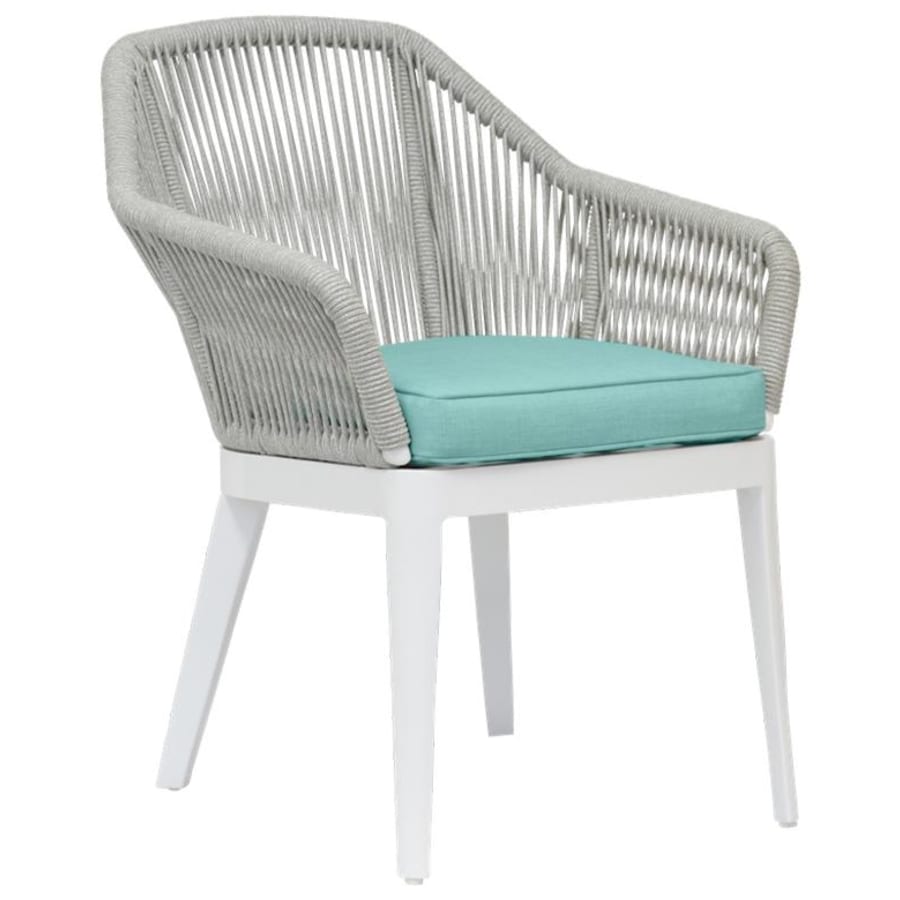 Frost / Dupione Celeste