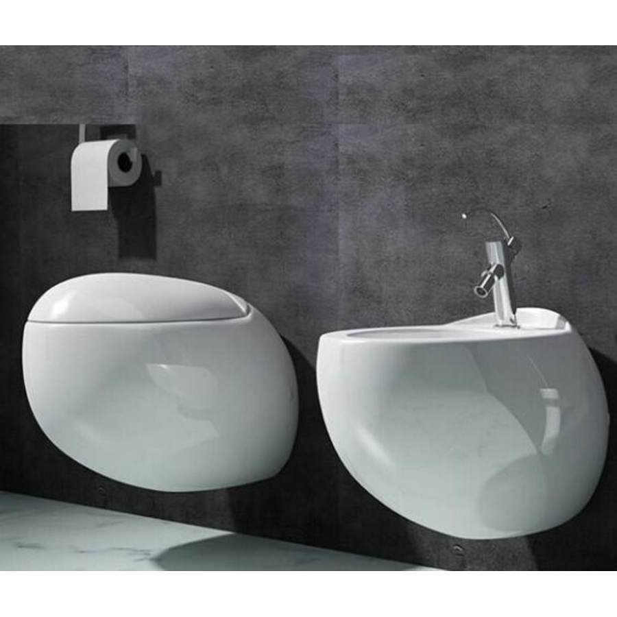 swiss-madison-sm-wt660-bidet-installed-view-109