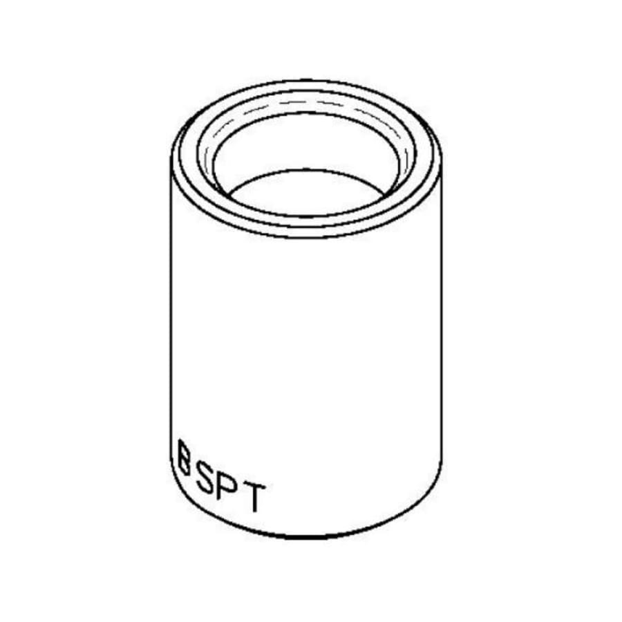 T and S Brass Adapter, 1/2" NPT Female x 1/2" BSPT Female (Chrome-Plated) Polished Chrome