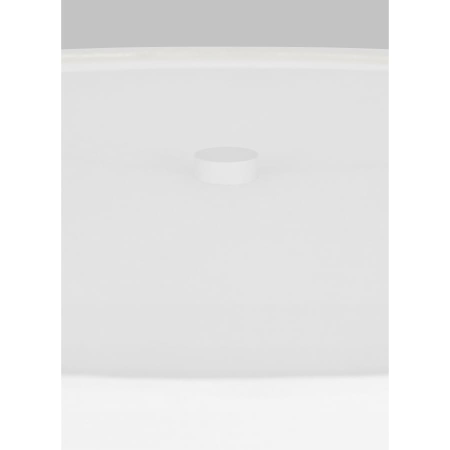 Alternate Image