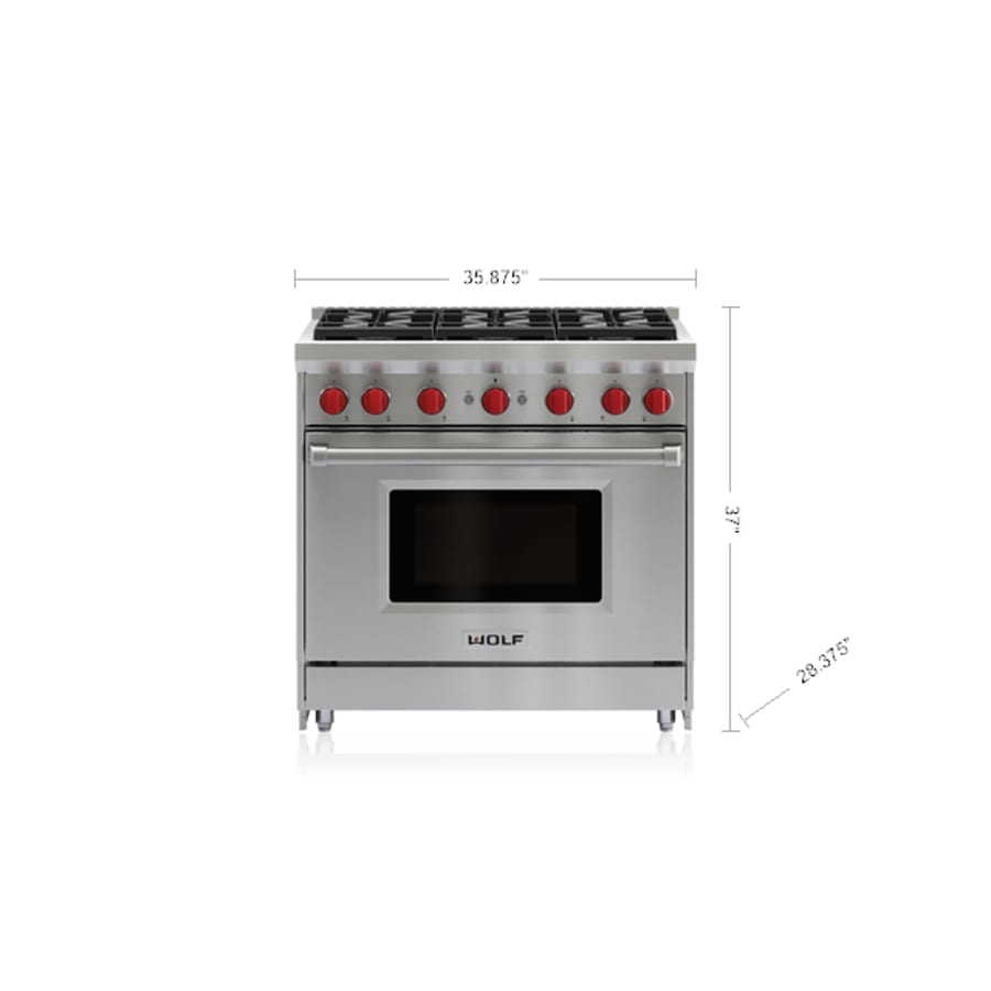 wolf-gr366-alternate-view-164 wolf-gr366-alternate-view-164