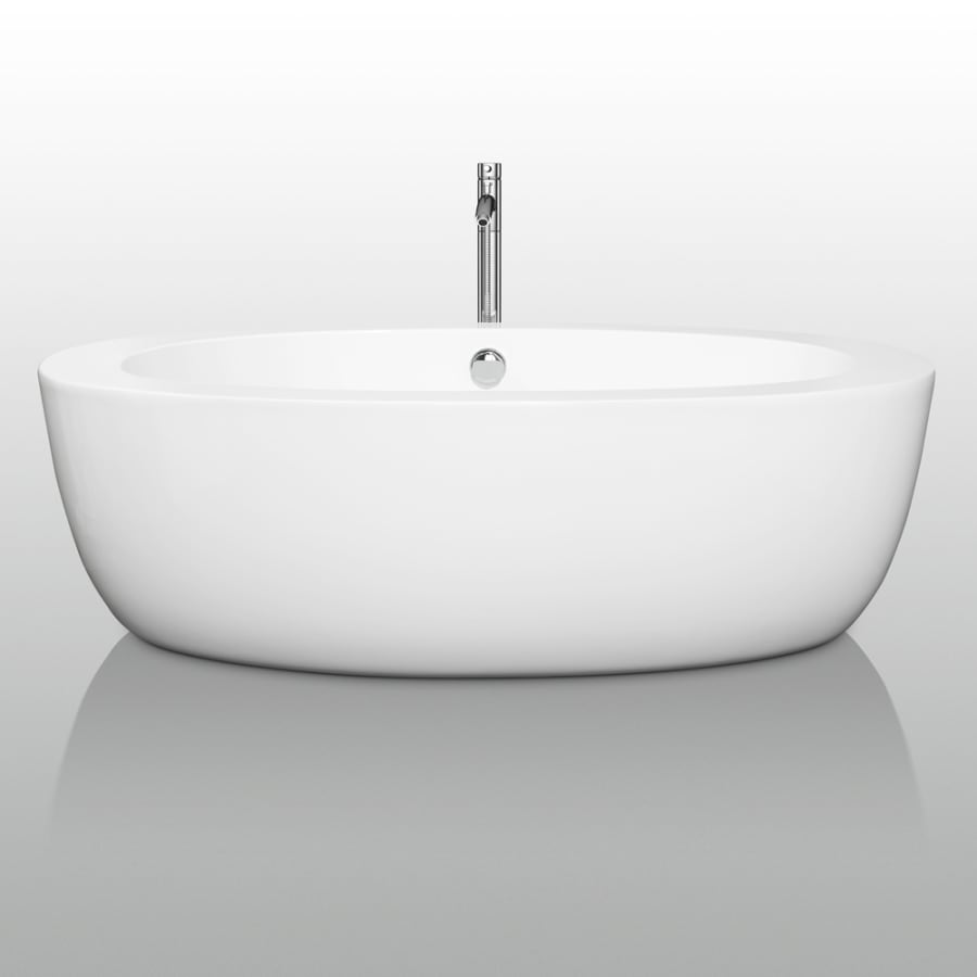 Front View of Tub with Chrome Tub Filler