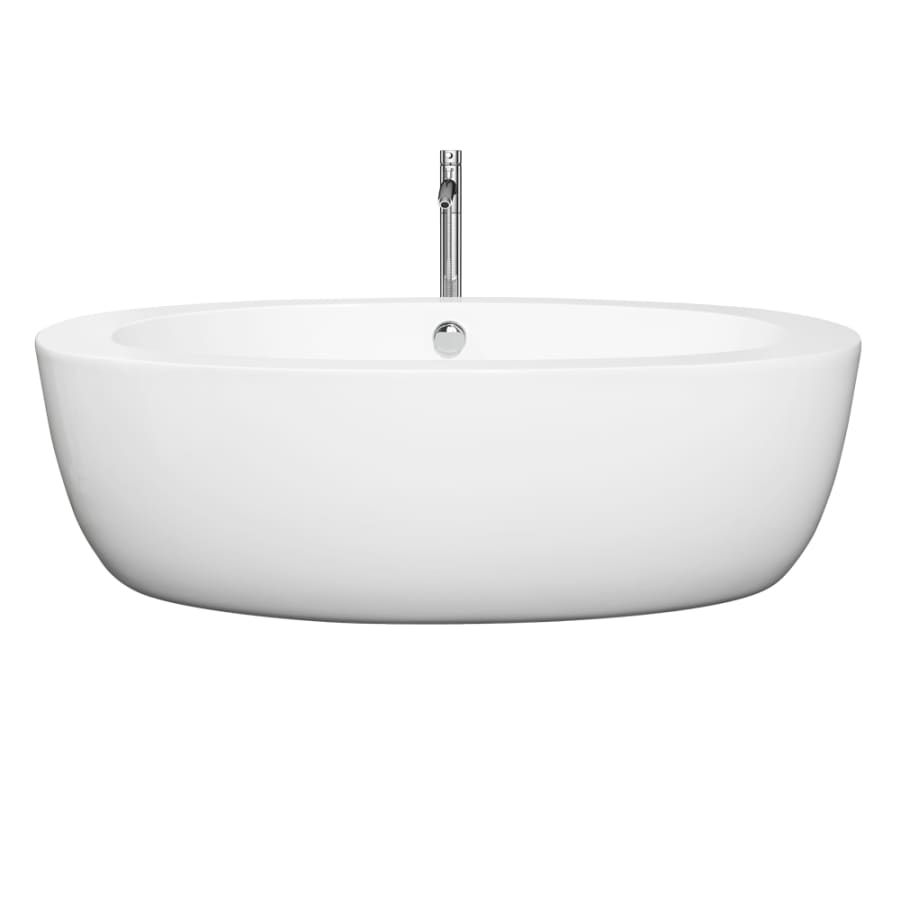 Front View of Tub with Chrome Tub Filler