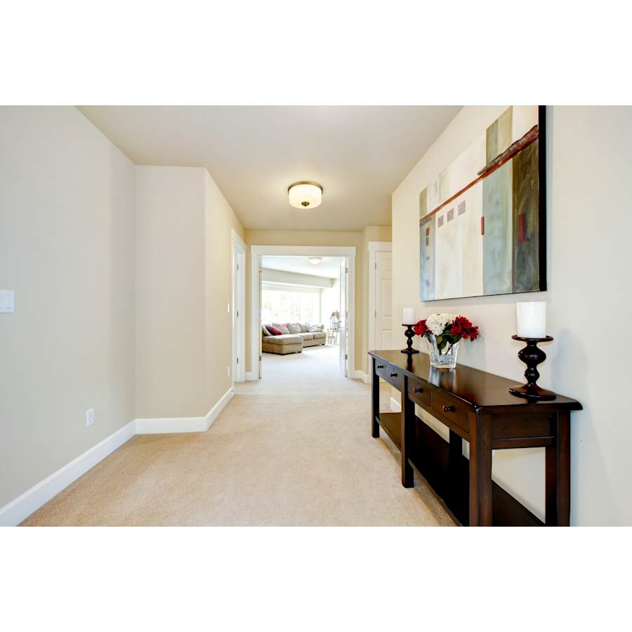 z-lite-220f2-alternate-image-4439