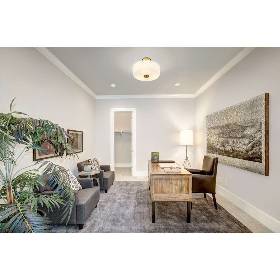 z-lite-220sf3-alternate-image-4444