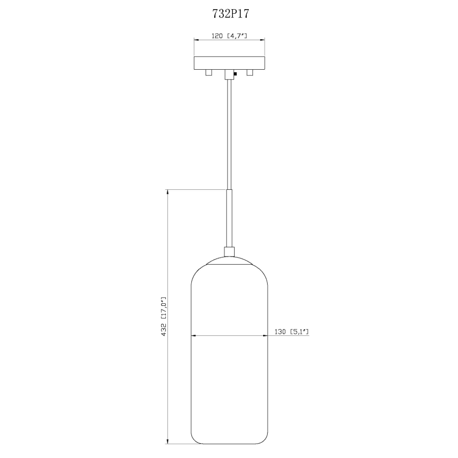 Z-Lite 732P17-MB Monty 17