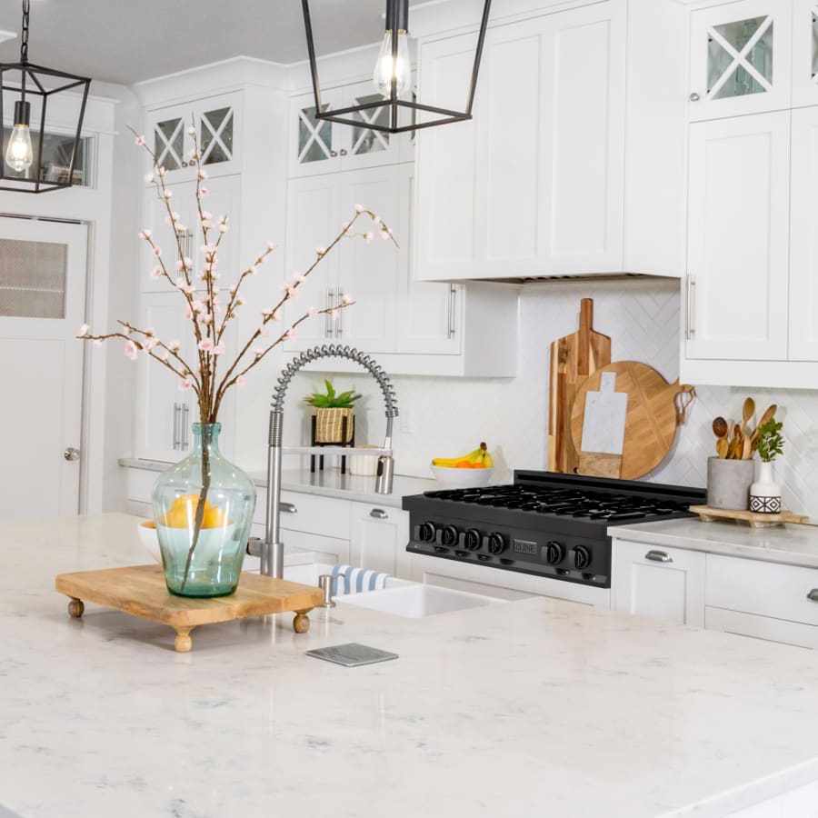 zline-rt36-alternate-image-1239 zline-rt36-alternate-image-1239