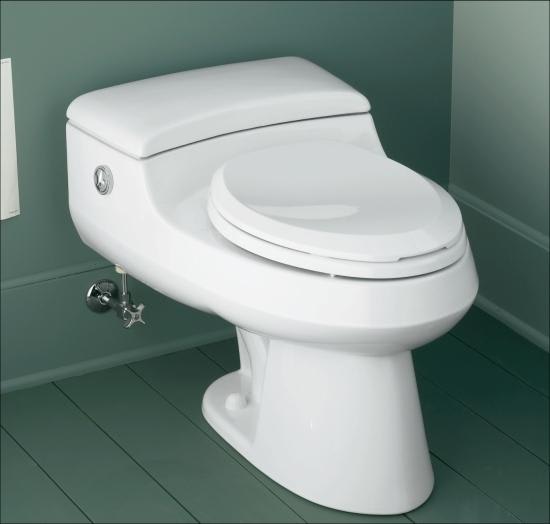 Kohler K346647 San Raphael OnePiece Elongated Toilet