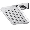 Raincan Showerhead