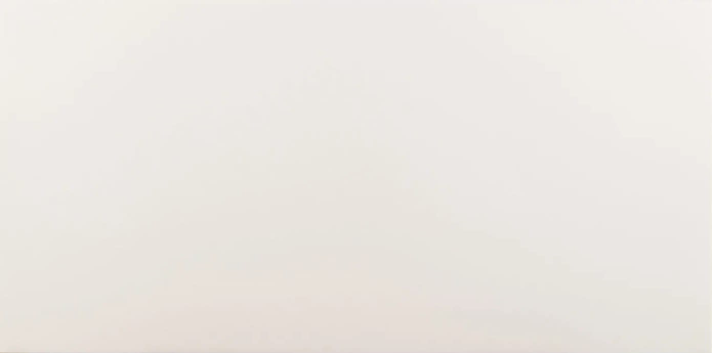 Ackland AKNPTSEG12X24M-CA Segment - 12" x 24" Porcelain Solid Floor and Wall Tile - Matte Visual - Sold by Carton (11.64 SF/Carton) Blanc Flooring