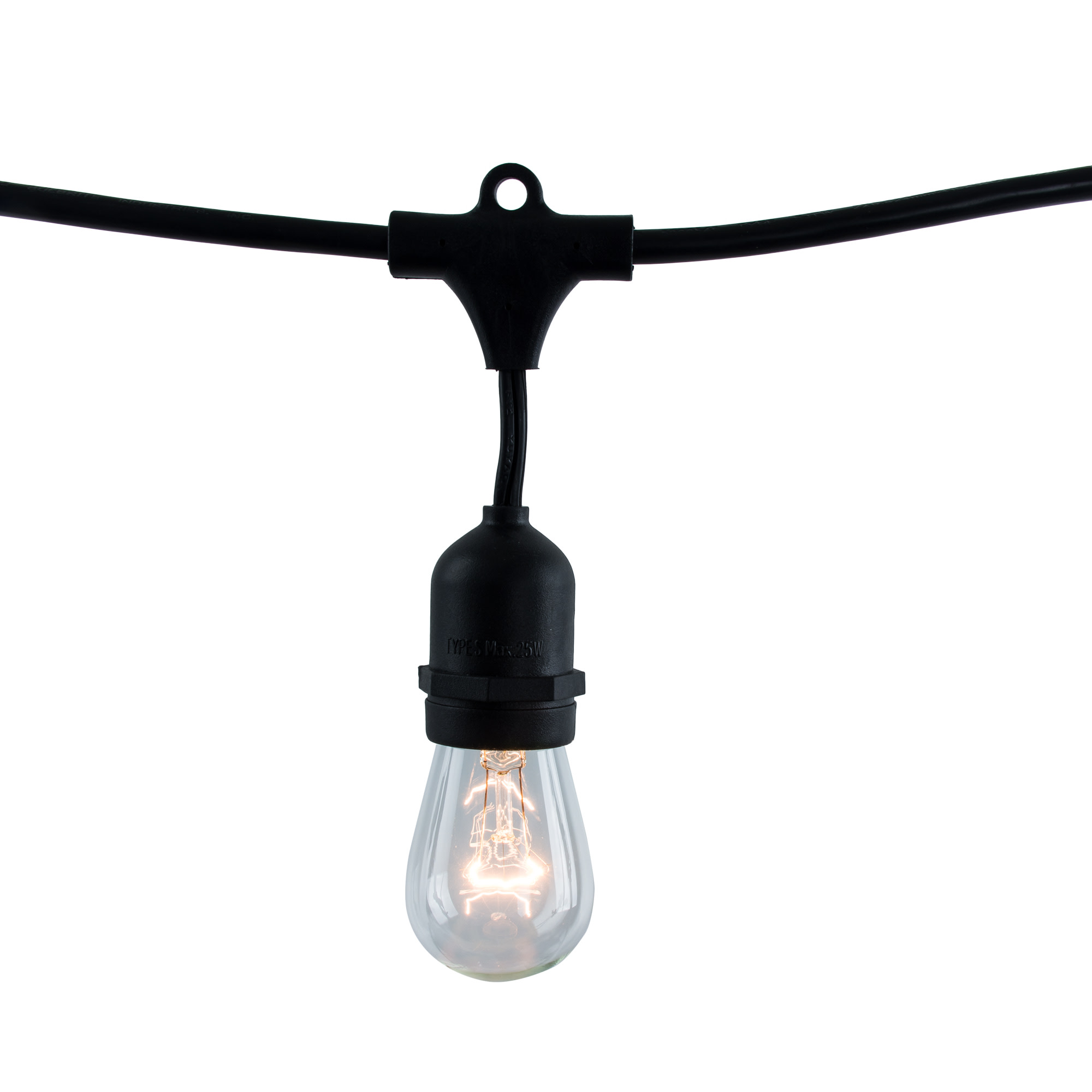 Bulbrite 810002 48' Long 15 Light Incandescent String Lights with S14 Bulbs Black Party Lights String Lights String Lights