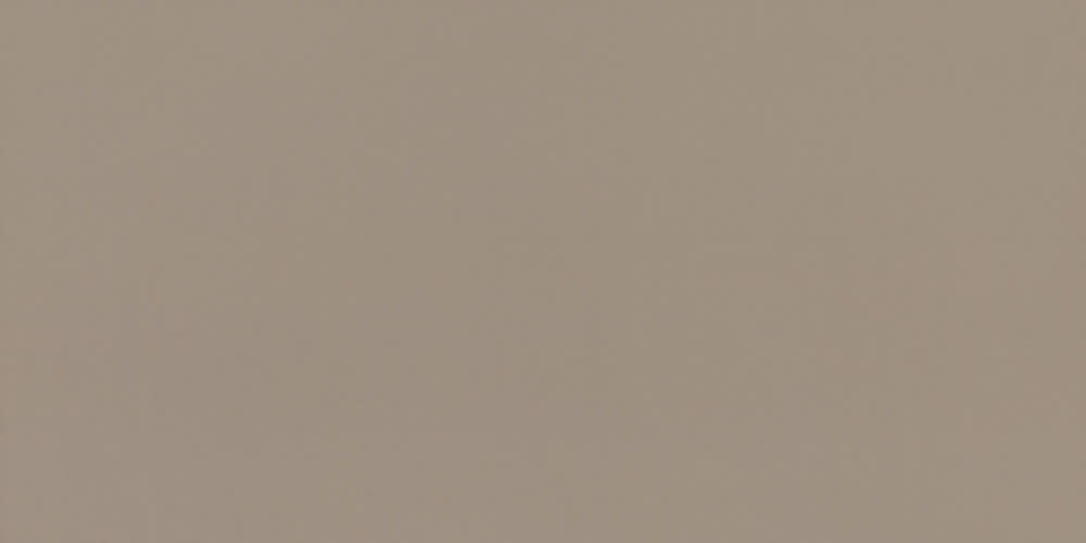Daltile FL1224P Flat - 12" x 24" Rectangle Floor and Wall Tile - Matte Visual - Sold by Carton (11.63 SF/Carton) Brick Flooring Tile