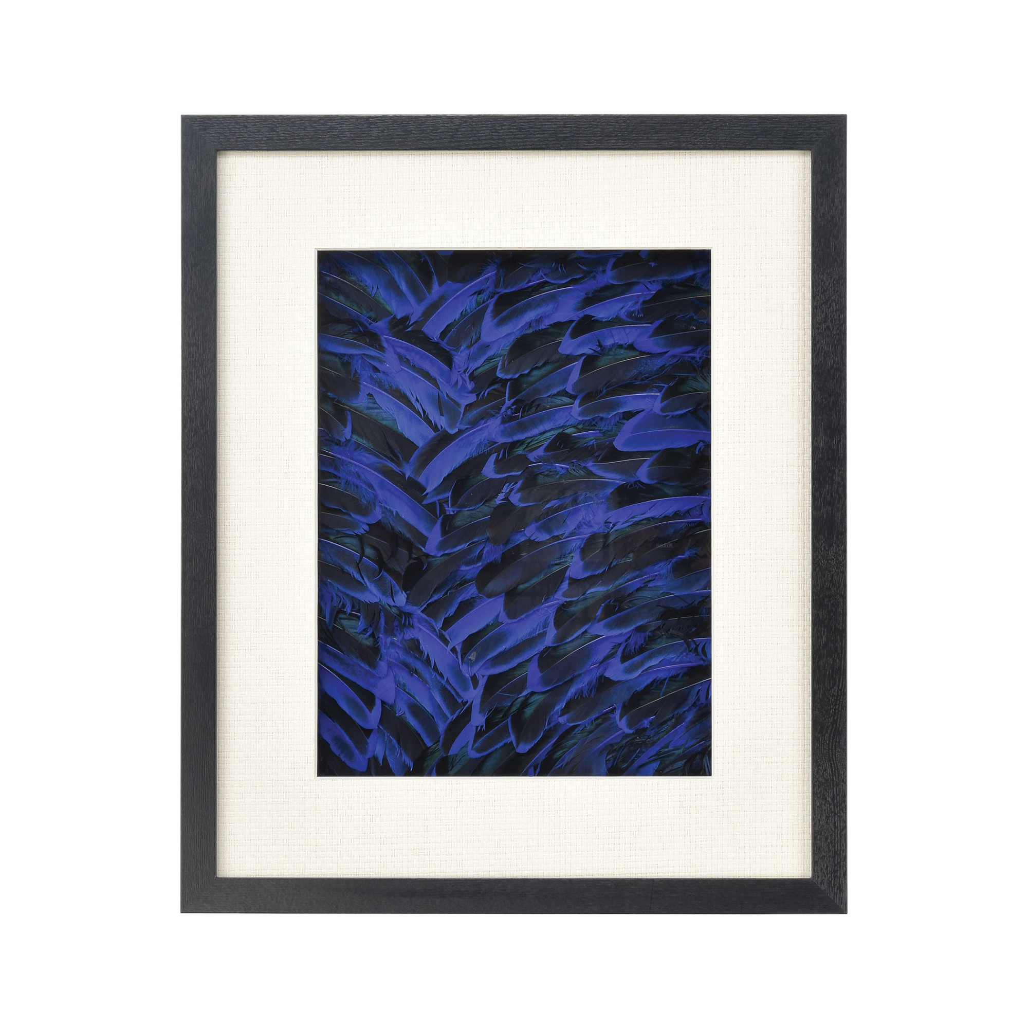 Photos - Other Decoration A&D Elk Home 3168-076 23-5/8" x 20" 'Neon Feather' Framed Animals Painting White / Blue / Black Home Decor Wall Decor Paintings 