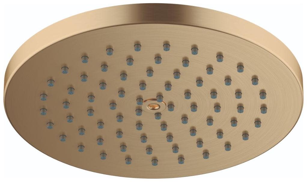 Hansgrohe 27629 Raindance S 1.8 GPM Single Function Shower Head with PowderRain Technology Brushed Bronze Showers Shower Heads Single Function
