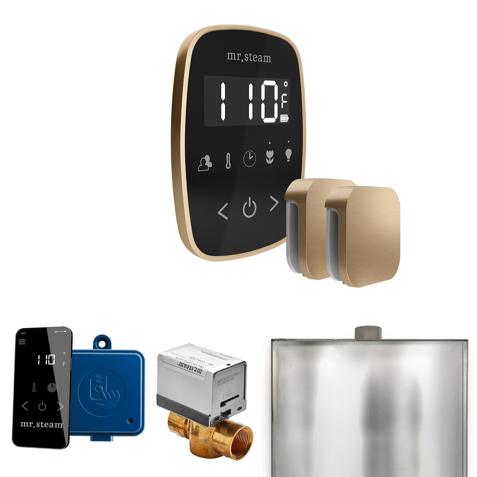 Mr Steam BFX Butler Flex Max Package Steam Shower Control Package with Tempoflex Control and Steamhead Black / Brushed Bronze Steam Showers Steam
