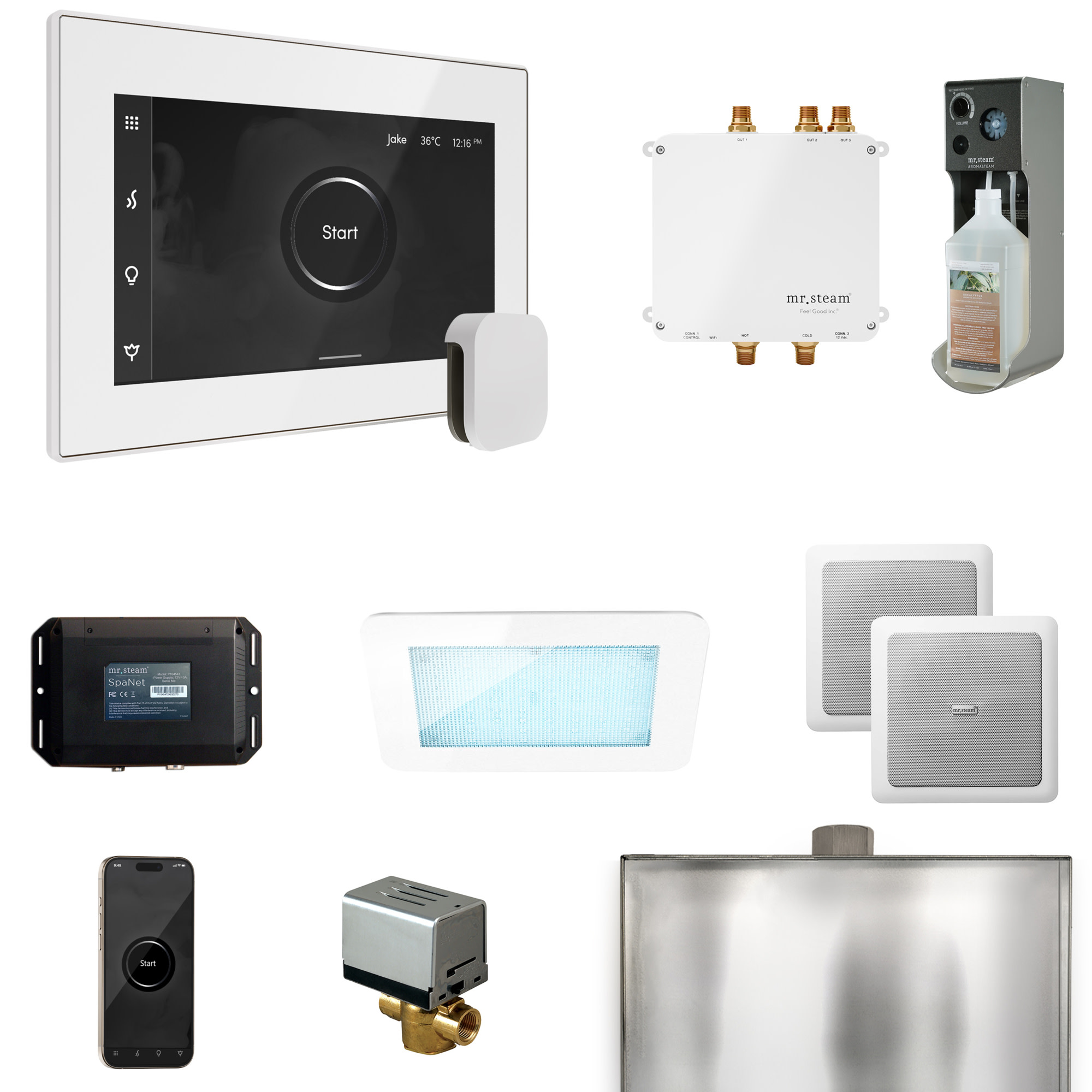 Mr Steam BLS1 Bliss Package Steam Shower Control Package with Isteamx Control and Steamhead White / White Steam Showers Steam Shower Components