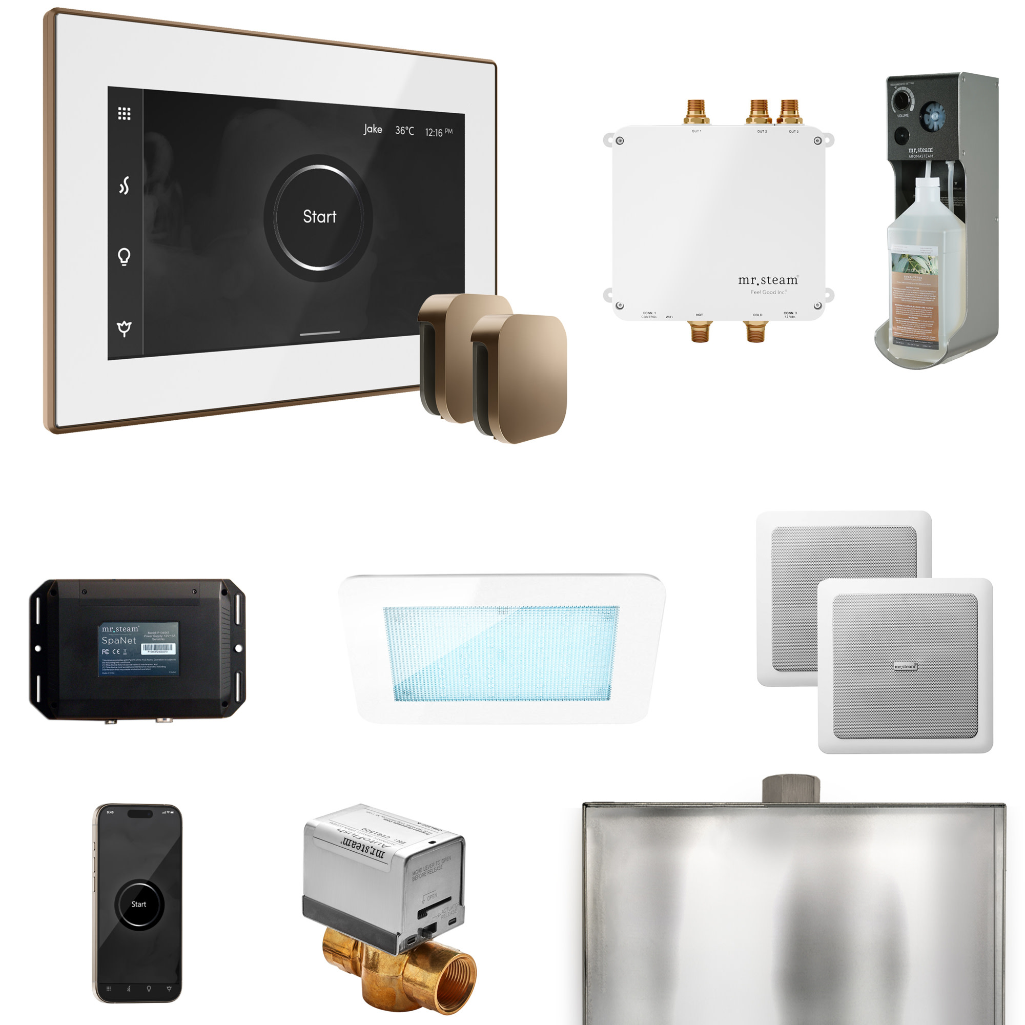 Mr Steam BLS1-X Bliss Max Package Steam Shower Control Package with Isteamx Control and Steamhead White / Nouveau Bronze Steam Showers Steam Shower