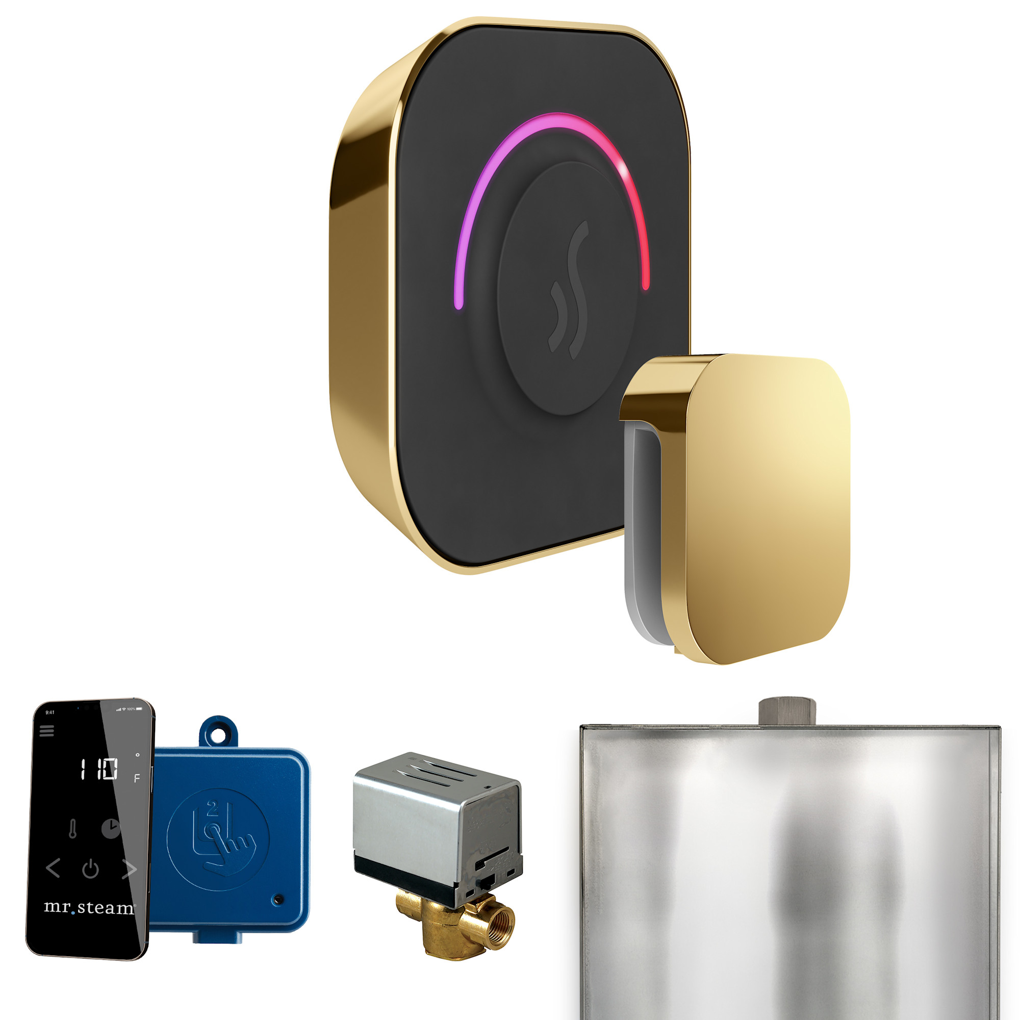 Mr Steam BT Butler Touch Package Steam Shower Control Package with Tempotouch Control and Steamhead Polished Brass Steam Showers Steam Shower