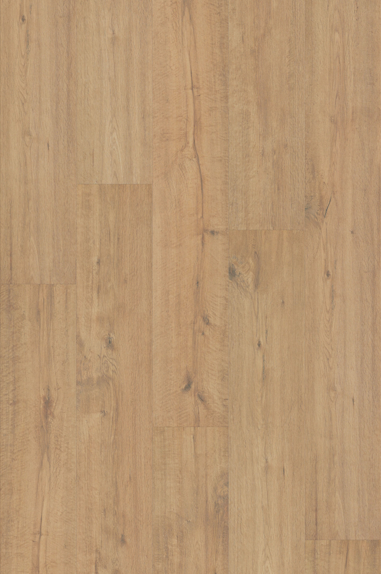 Photos - Laminate / Parquet Flooring Oak Shaw SL119 Grove 51" x 8" Textured Laminate Flooring with Medium Gloss - Sold by Carton Sienna Drift F (21.24 SF/Carton)