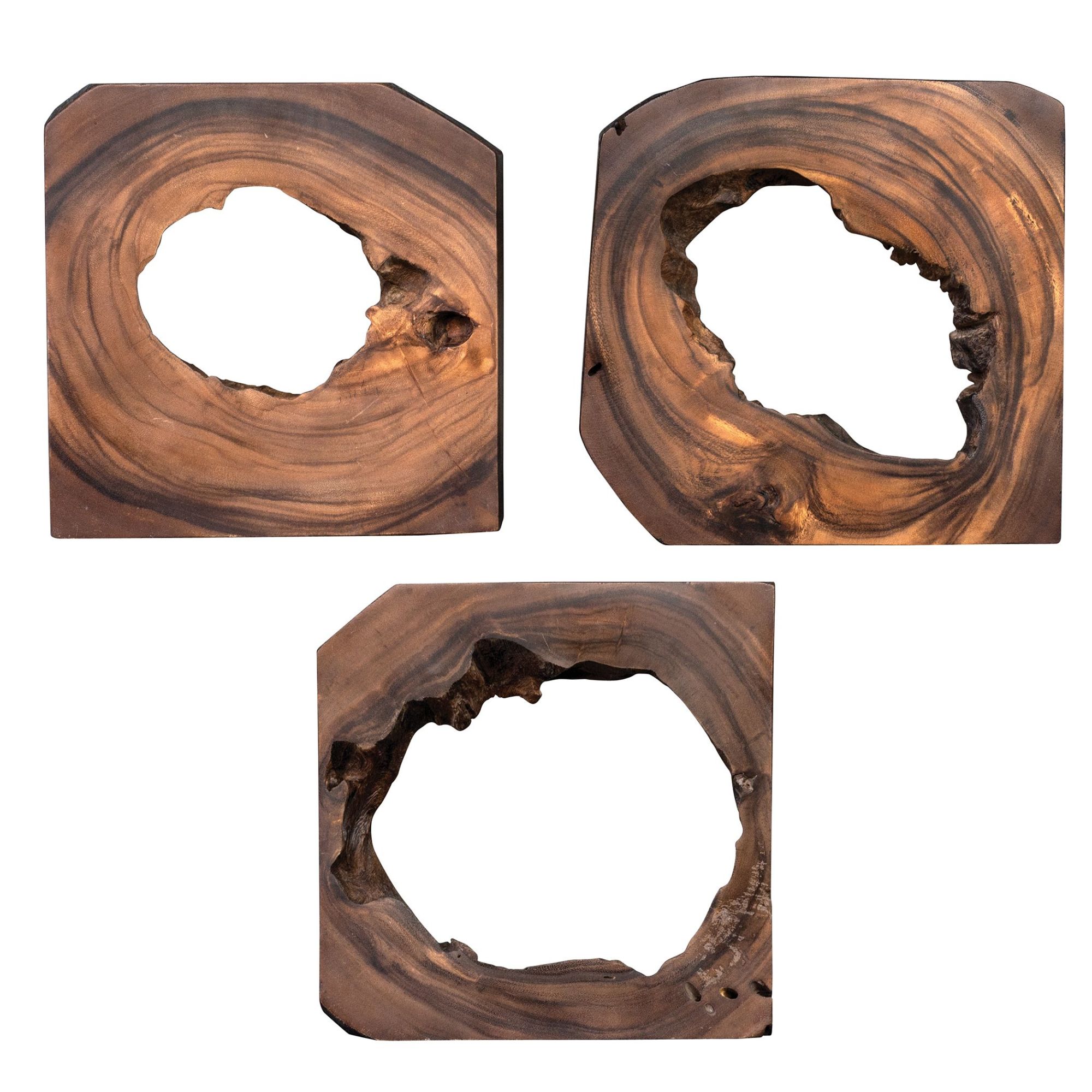 Uttermost 04207 Adlai Wood Trees Wall Art - Set of 6 Rich Coffee Brown Home Decor Wall Decor Sculptures