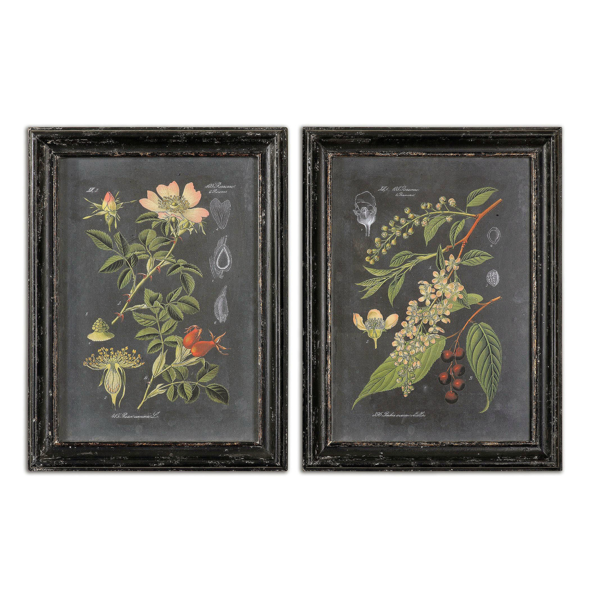 Uttermost 56053 Midnight Botanicals 33" x 25" Art Prints - Set of 2 Distressed Black Home Decor Wall Decor Paintings and Prints