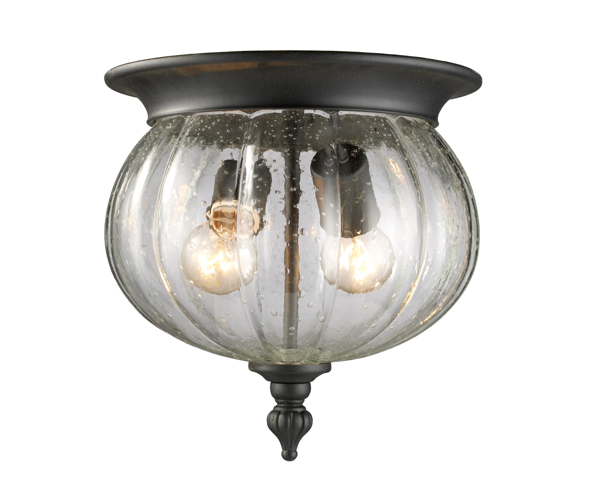 Photos - Floodlight / Street Light Belmont Z-Lite 516F  2 Light Outdoor Flushmount Ceiling Fixture with Clear Seedy Shade Black Outdoor Lighting Ceiling Fixture 