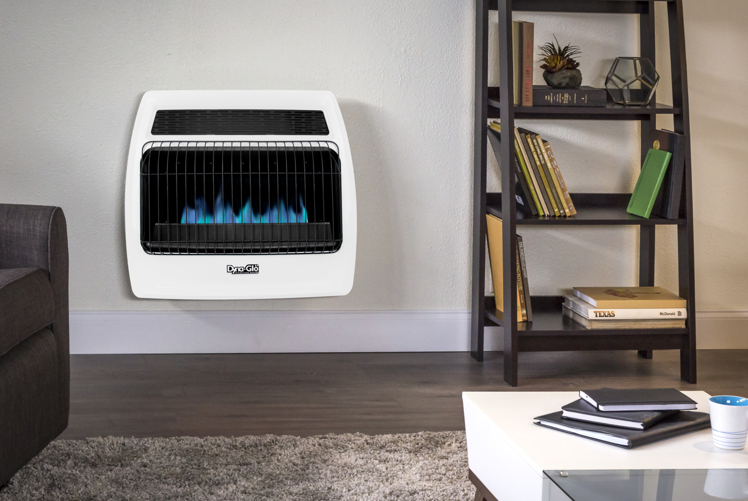 Dyna-Glo BFSS30LPT-4P 30,000 BTU Liquid Propane Wall Heater – White | Inox  Wind