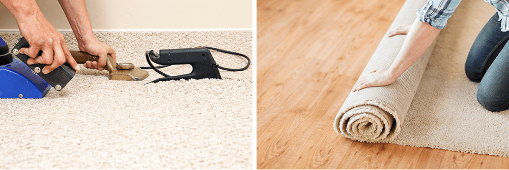 Knee kicker tool, hands rolling out carpet.