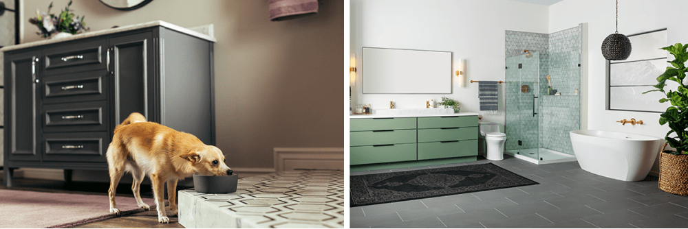 Flooring Options For Pet Owners